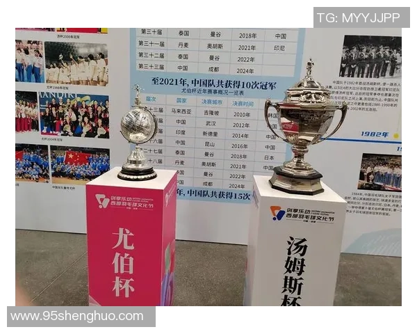 成都羽毛球队在杯赛中的拼搏历程与荣耀时刻全景回顾